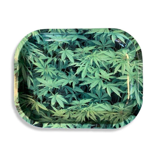 Field of Leaves - 5.5" x 7" Rolling Tray with matching magnetic lid