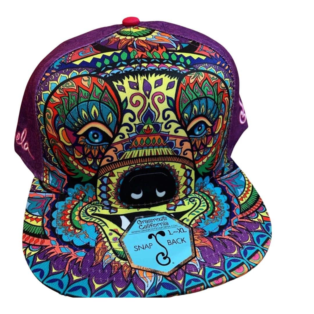 Amanda Vela Bear (Purple): Official Grassroots California Heady Snapback