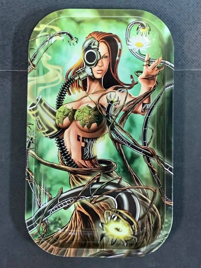 Element Goddesses Trays