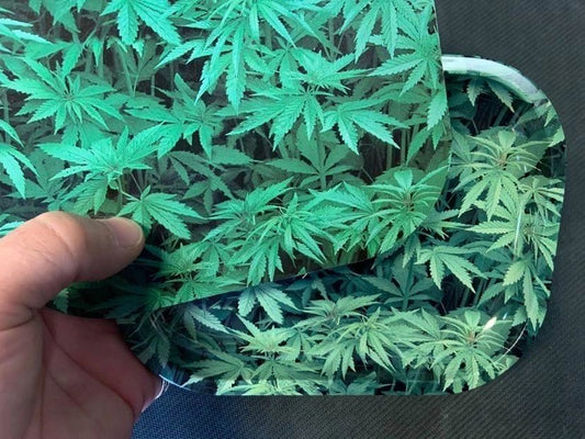 Field of Leaves - 5.5" x 7" Rolling Tray with matching magnetic lid