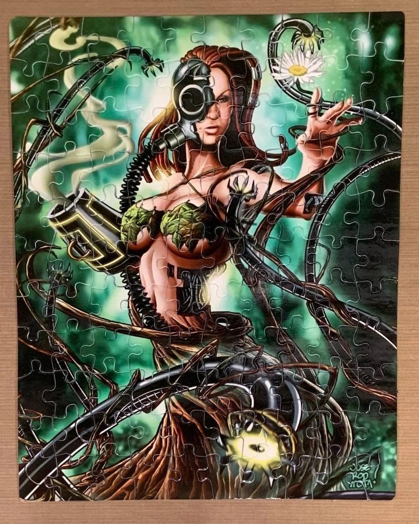 Quadrasesery aka Element Goddesses (Set of 4) Puzzles (via Venezuela)